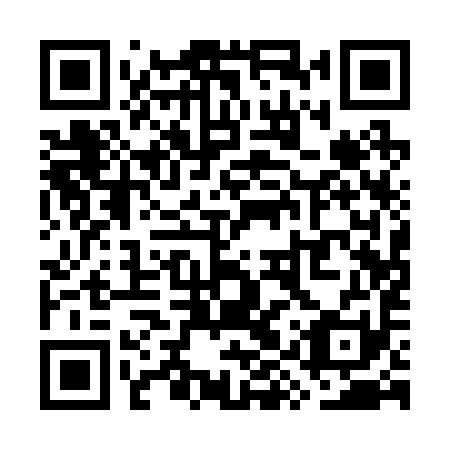 QR code for plate WYQ 291
