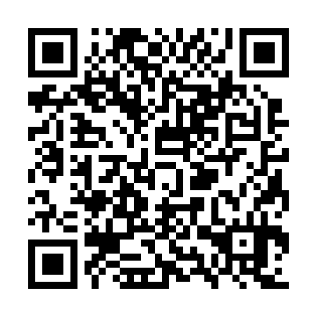QR code for WYS 234