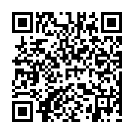 QR code for WYW 295