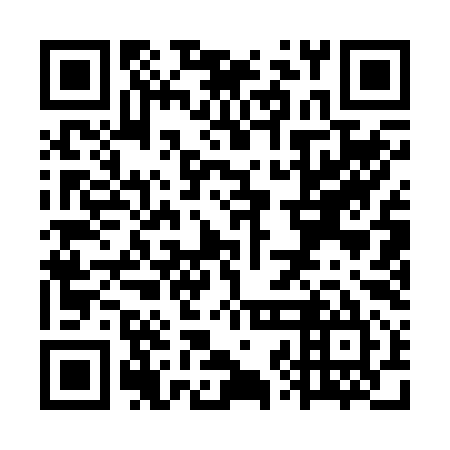 QR code for WZA295