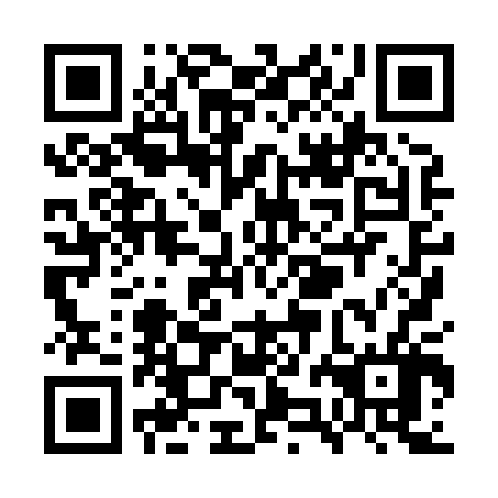 QR code for plate WZH 806