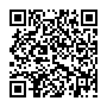 QR code for WZM 539