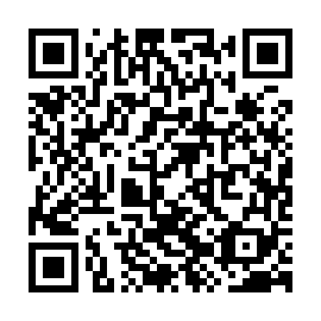 QR code for WZQ969