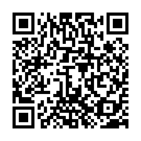 QR code for WZS119