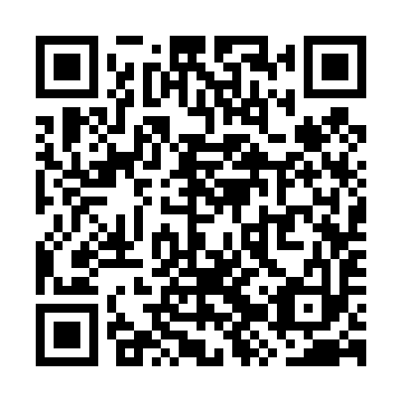 QR code for WZS493
