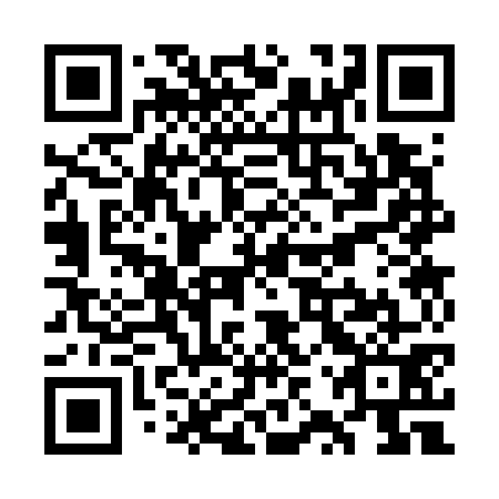 QR code for plate WZS 771