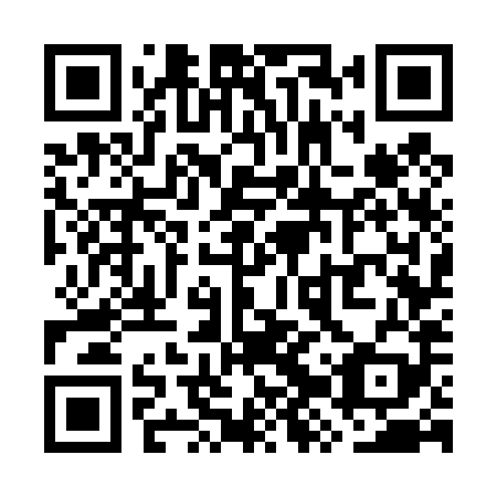 QR code for WZW489