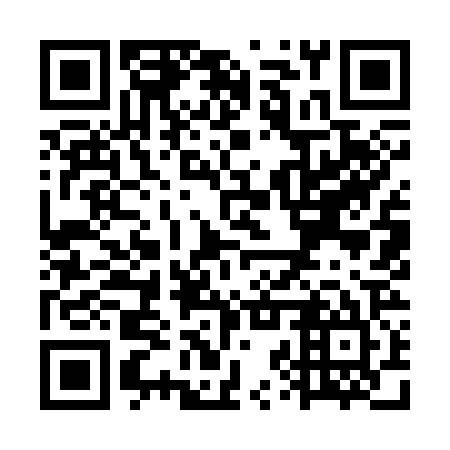 QR code for WZY 325