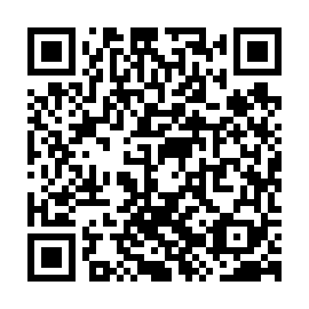 QR code for WZY669