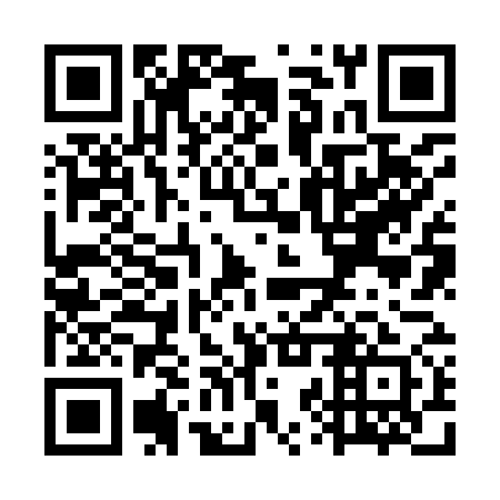 QR code for WZZ 971