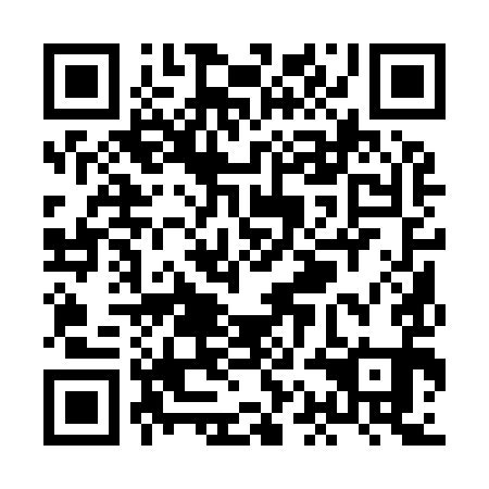 QR code for plate XAA 991