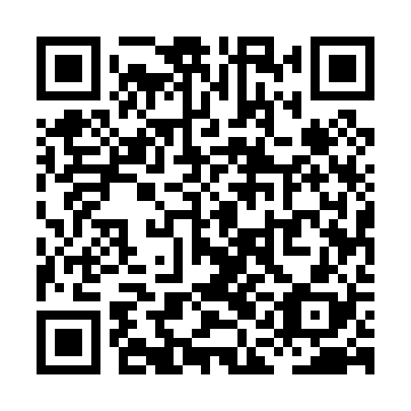 QR code for plate XAE 028