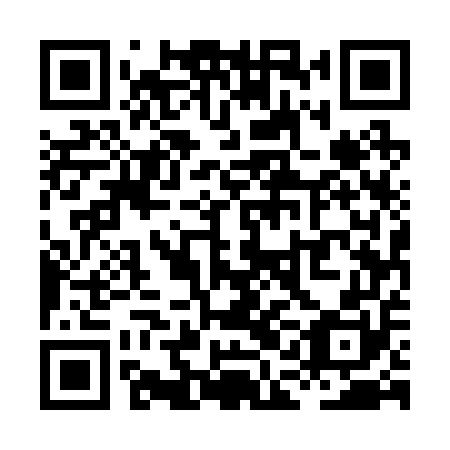 QR code for plate XAE 250