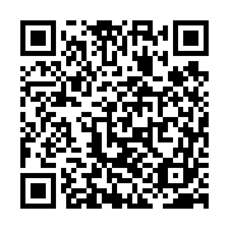 QR code for plate XAE 663