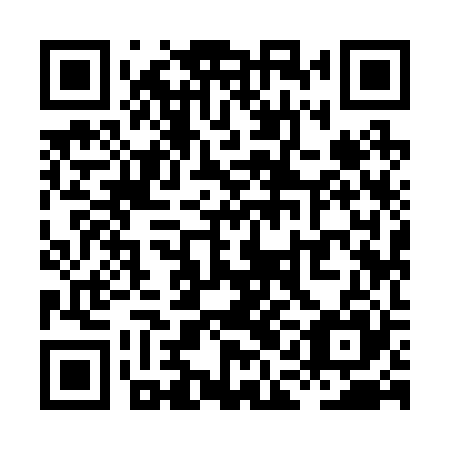 QR code for XAI 225