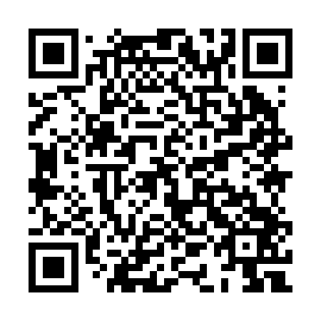 QR code for XAI 243