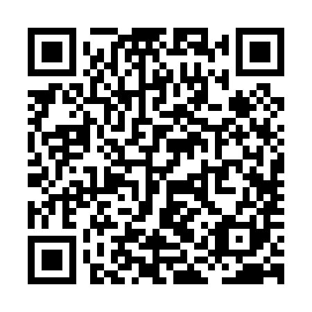 QR code for XAR 081