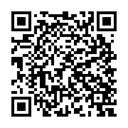 QR code for XAU 343