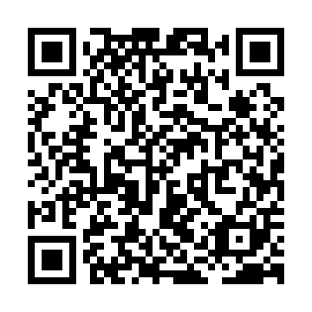 QR code for plate XAU 101