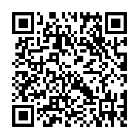 QR code for XAX 173