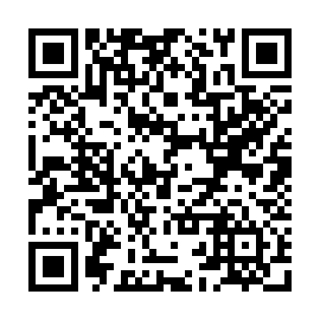 QR code for XBS 334