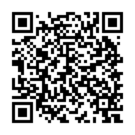 QR code for plate XBU 296