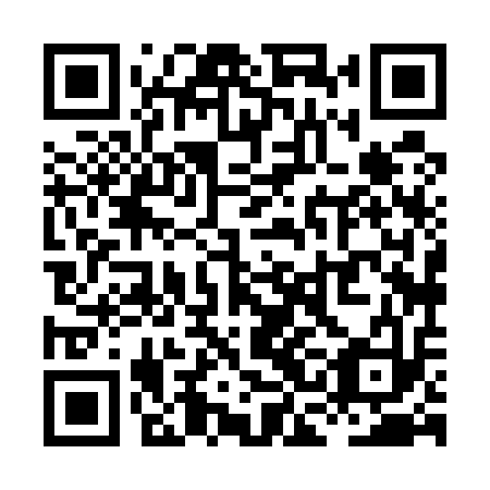 QR code for plate XCH 513