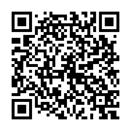 QR code for XDC 133