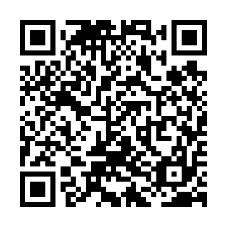 QR code for plate XDC 617