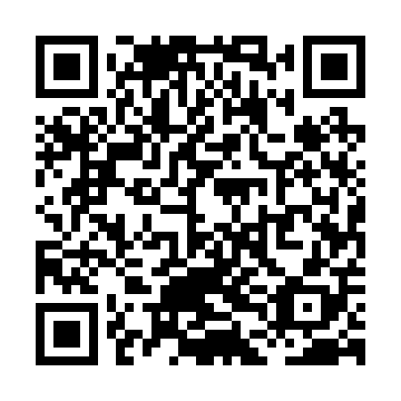 QR code for plate XDE 208