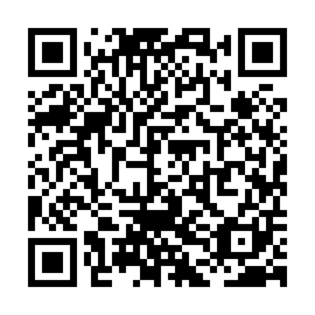 QR code for plate XDI 801