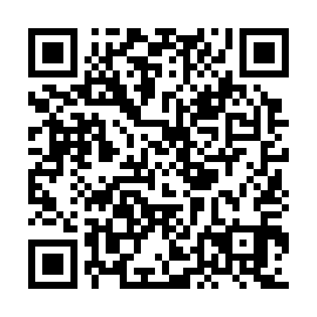 QR code for plate XDN 311