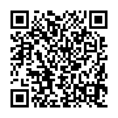 QR code for XDQ295