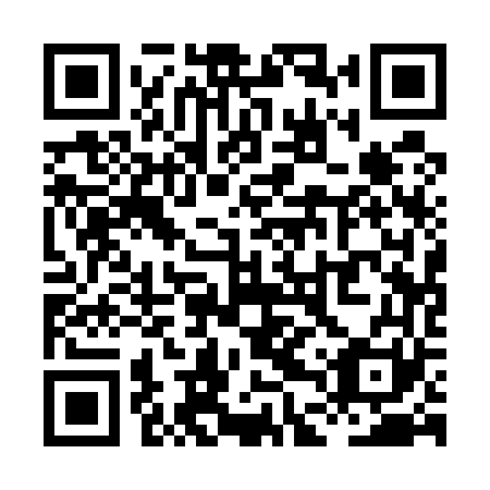 QR code for plate XDQ 561