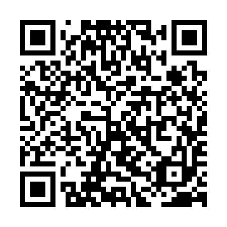 QR code for XDS 393