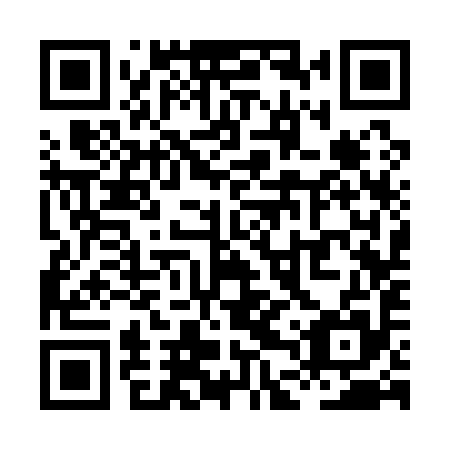 QR code for plate XDS 195
