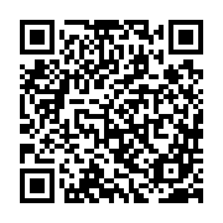 QR code for plate XDX 747