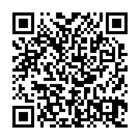 QR code for XDZ225