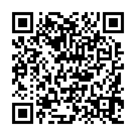 QR code for plate XEI 290