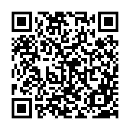 QR code for XES 246