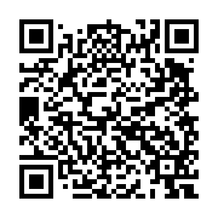 QR code for XFB 493