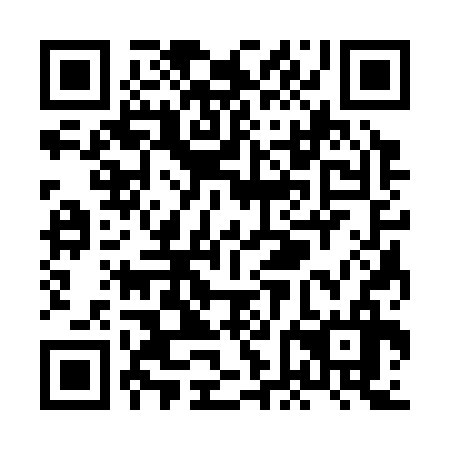 QR code for XFC 336