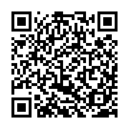 QR code for plate XFR 500