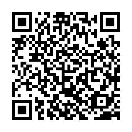 QR code for plate XFX 338