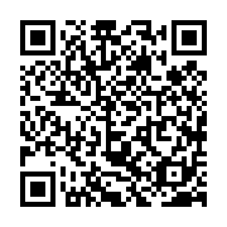 QR code for XFX411