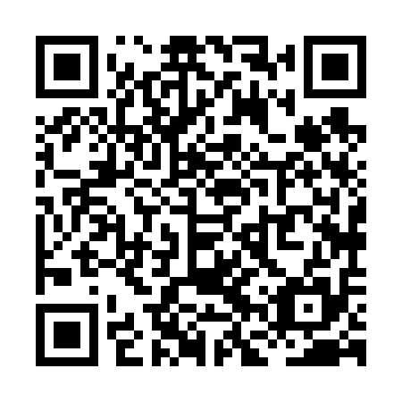 QR code for plate XFX 615