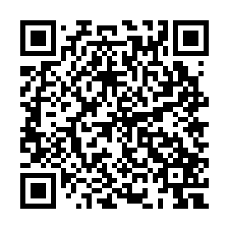 QR code for plate XGE 307