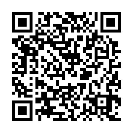 QR code for XGF 333