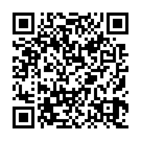 QR code for XGI 729