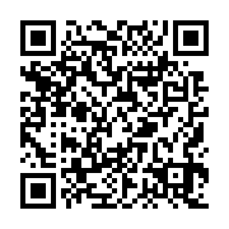 QR code for XGI 733